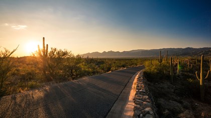 Saguaro National Park